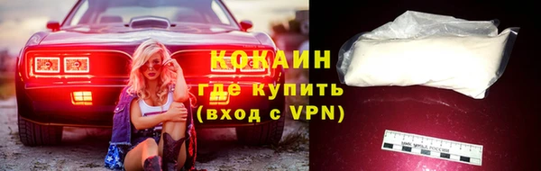 дживик Гусев