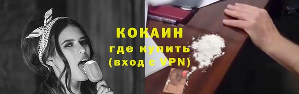 дживик Гусев