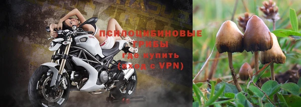 ALPHA-PVP Гусь-Хрустальный