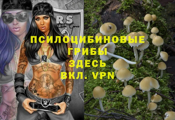 ALPHA-PVP Гусь-Хрустальный